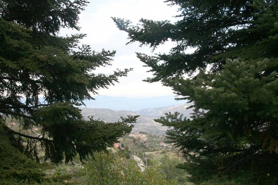 Pigi Tarlampa Hotel Ano Trikala Exterior photo